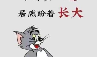 伤感的文案高级感短句